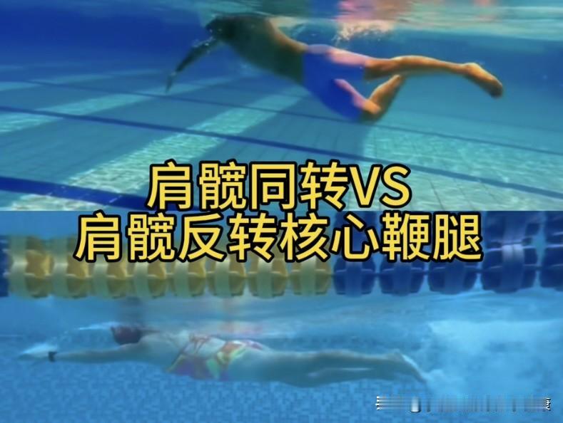自由泳肩髋同转VS肩髋反转，肢端发力VS核心发力髋驱鞭腿，你学那个我都能教你。其