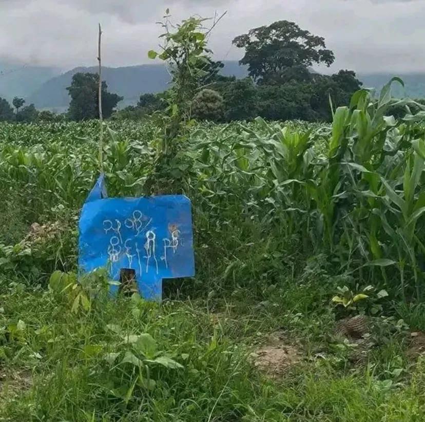 缅甸掸邦南部娘瑞镇散咖地区民众已经开始返乡，面临地雷和战争遗留爆炸物的危险。
7