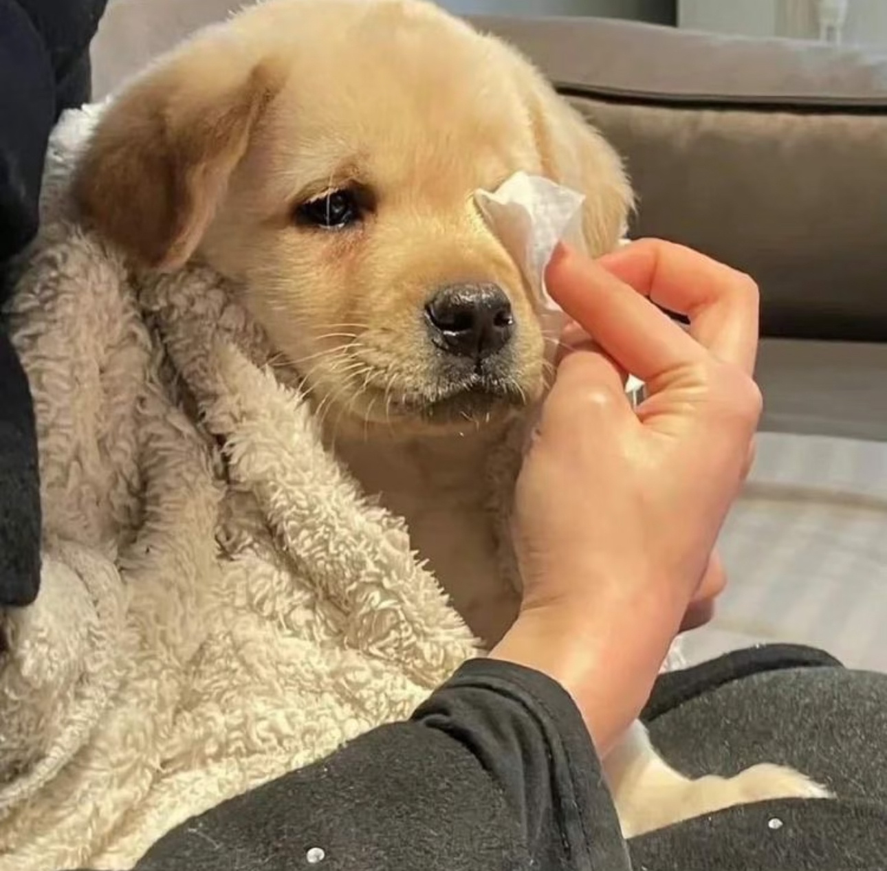 玩加早安 大家早上最想干什么呢？英雄联盟