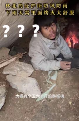 林北现在估计都是懵的
没进决赛之前，他自己的猕猴桃存量都有五六十斤，老中医竟然说