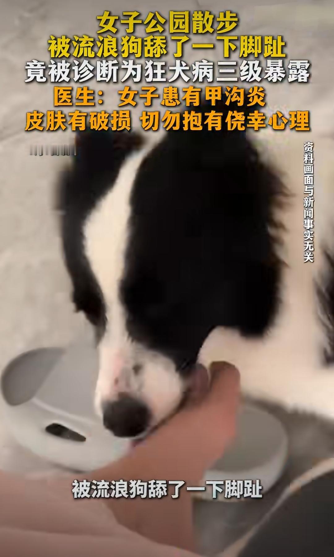 浙江杭州的一位女士在公园散步时，走累了就坐在椅子上休息，一只流浪狗凑过来舔了她的