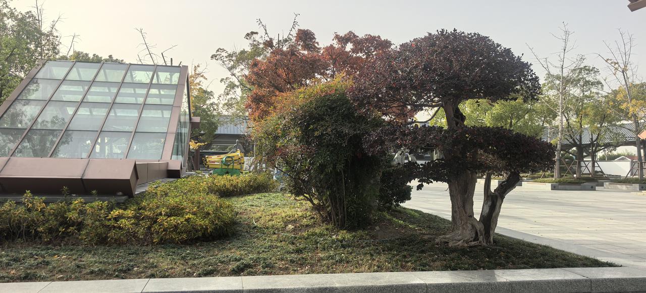 分享一下你随手拍下的照片随手一拍都是美景[玫瑰][玫瑰][玫瑰]