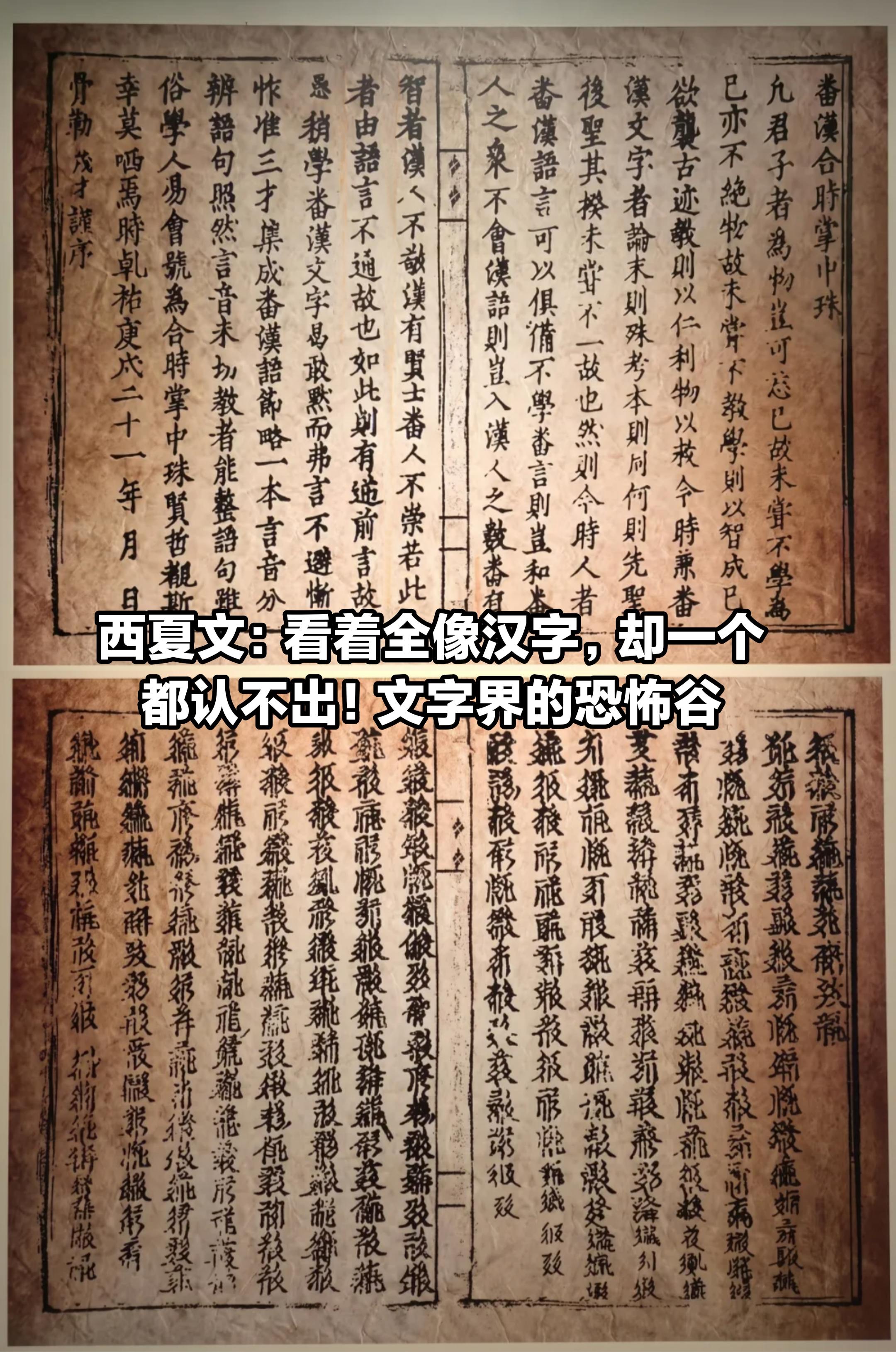 西夏文：看着全像汉字，却一个都认不出！