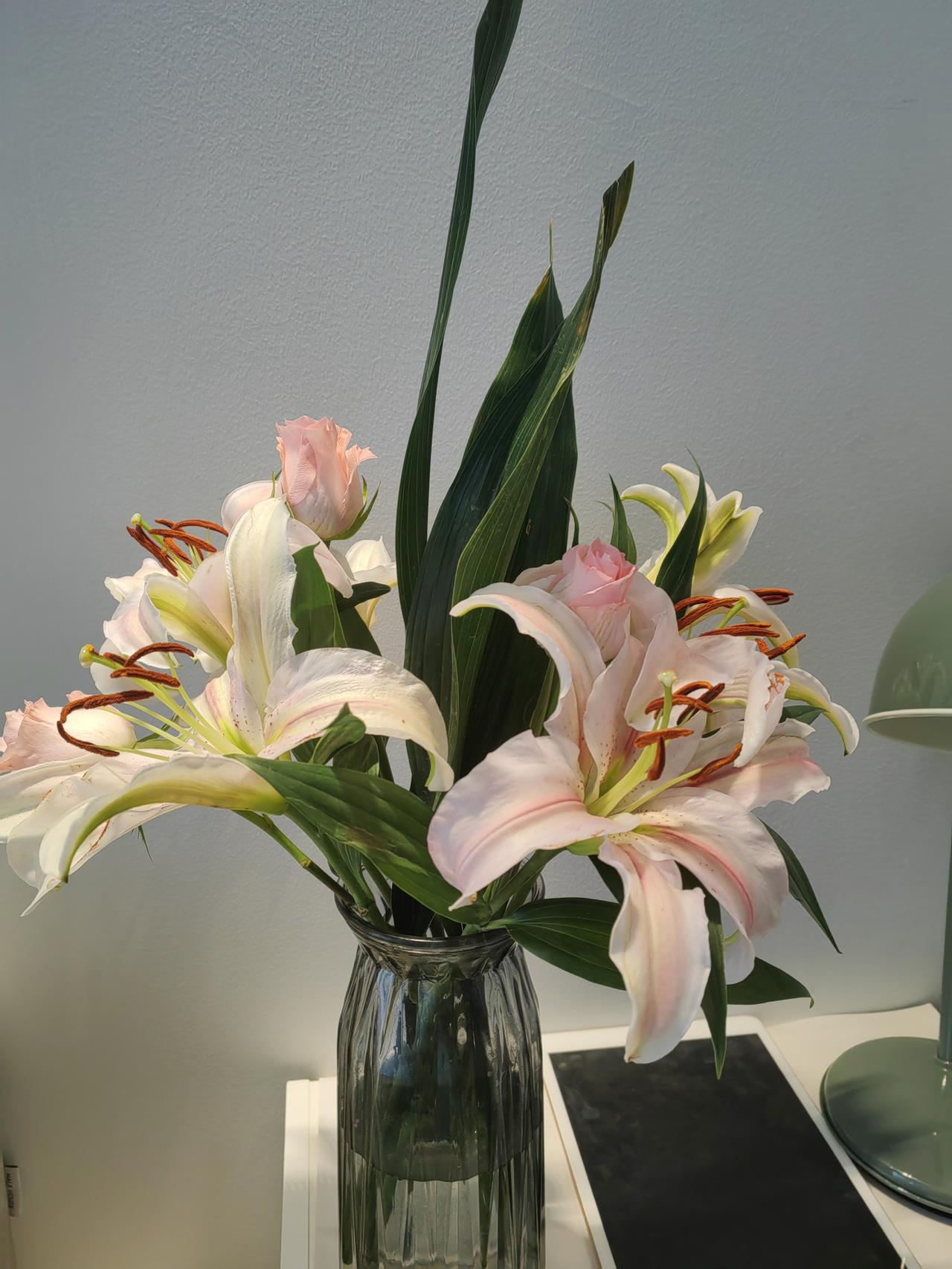 百合花蕊有“毒”？害得我一早醒来，赶紧去把花蕊剪了。

昨晚发了张百合花的照片。