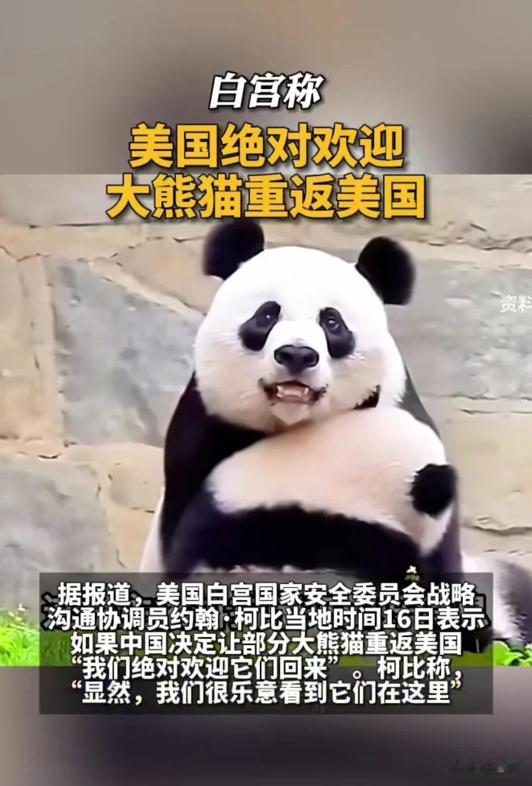 旧金山刚开完会，美国就大言不惭说它们非常欢迎熊猫重返美国。
目前美国境内大多数熊