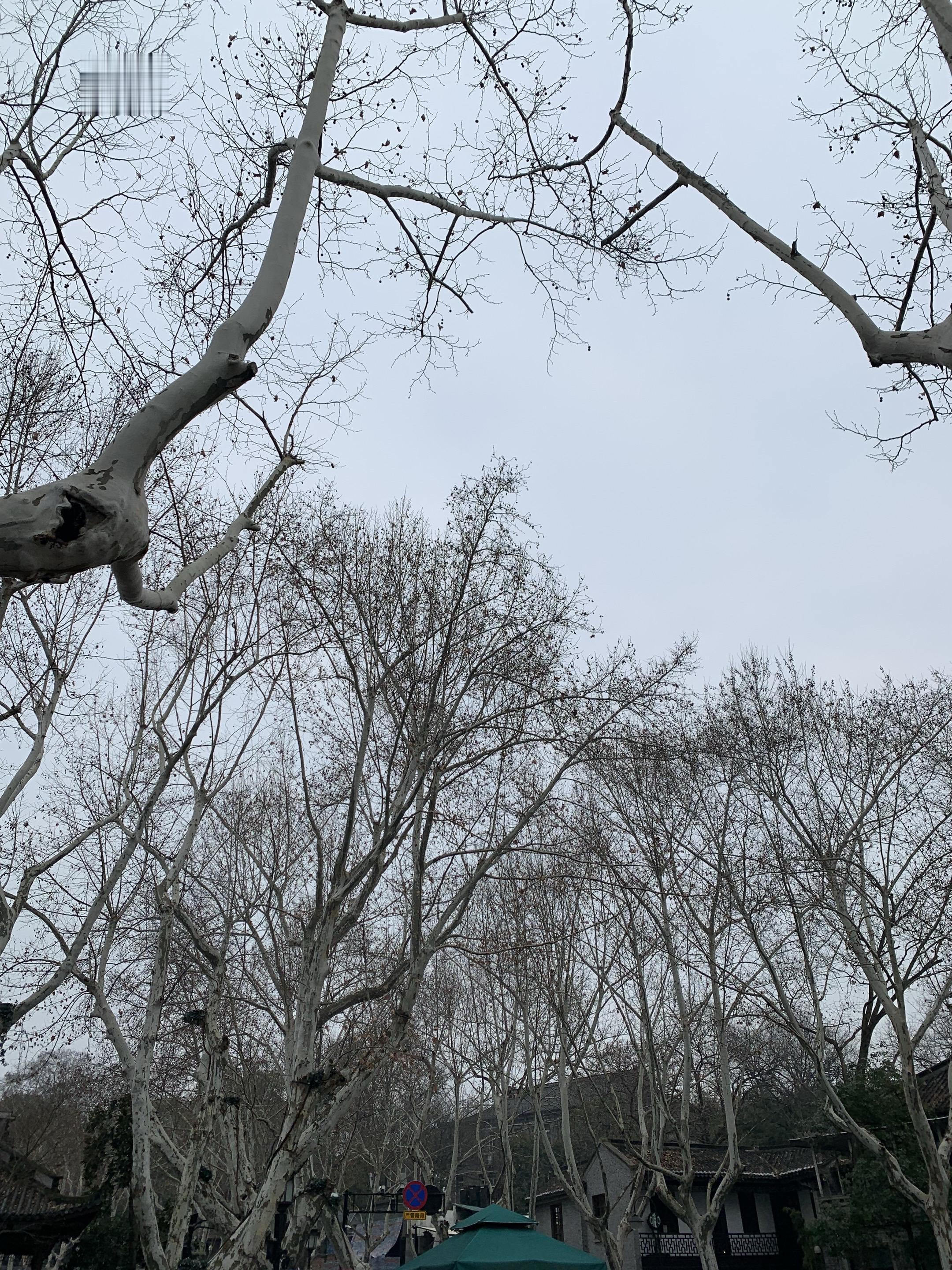 骑车看风景 在大自然里chill一下