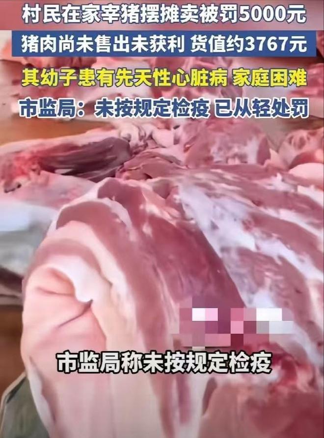 云南砚山县一村民私自屠宰生猪售卖触碰监管红线最终受到相应处罚
 （个人观点仅供参