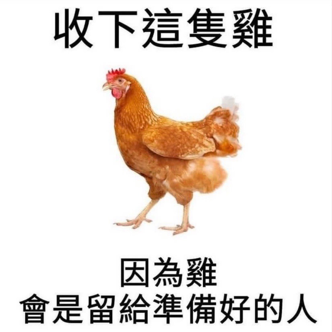 还不谢谢鸡哥#meme# ​​​