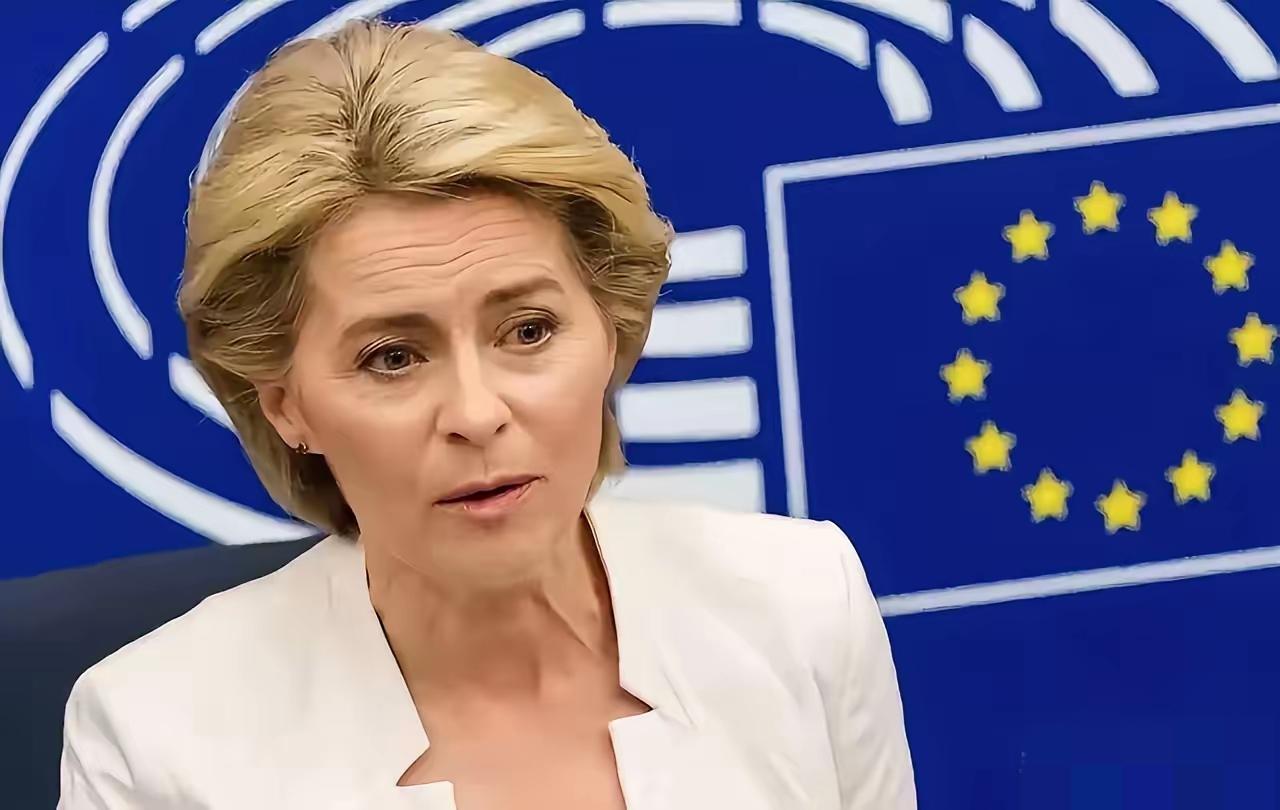 欧盟双标现场：芬兰教授灵魂拷问冯德莱恩，全场哑口无言
​​一场欧盟会议上，芬兰教