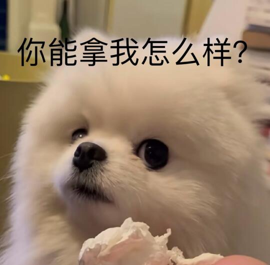各位互联网ee二创