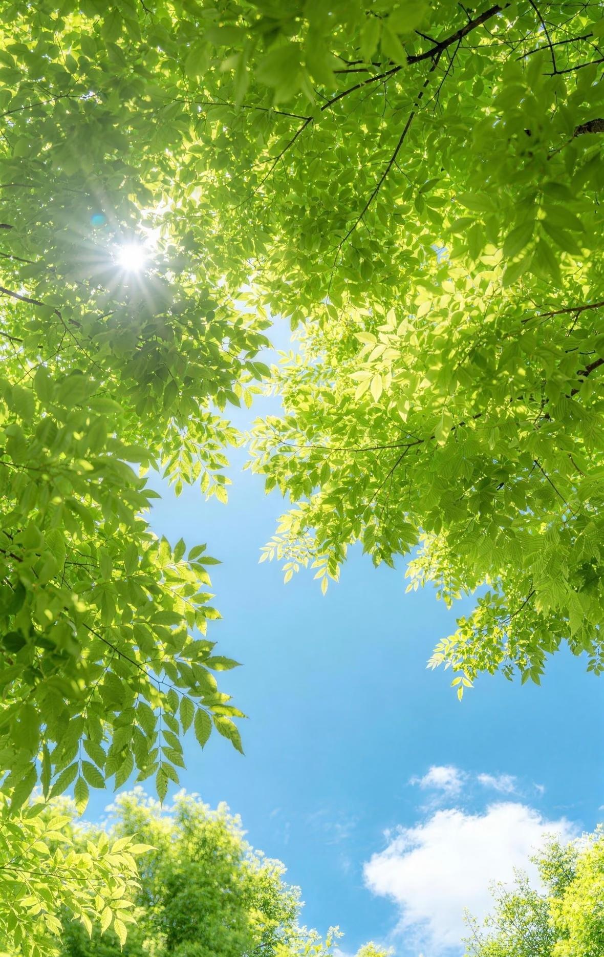 月入一万以下最稳的理财方式
压根不需要理财。而是要做到守住钱、别亏钱、别被骗、留
