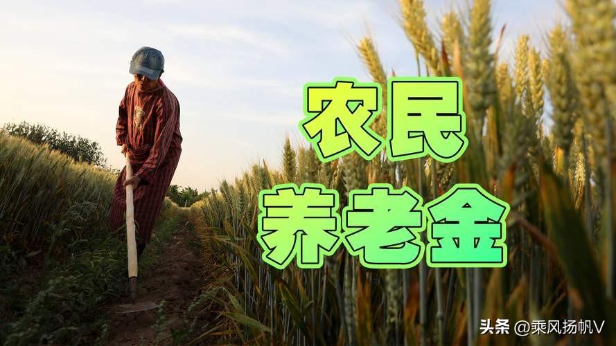 白岩松一句“每月200元的确低了”，戳中亿万农村老人心中的痛！

这些农村老人，