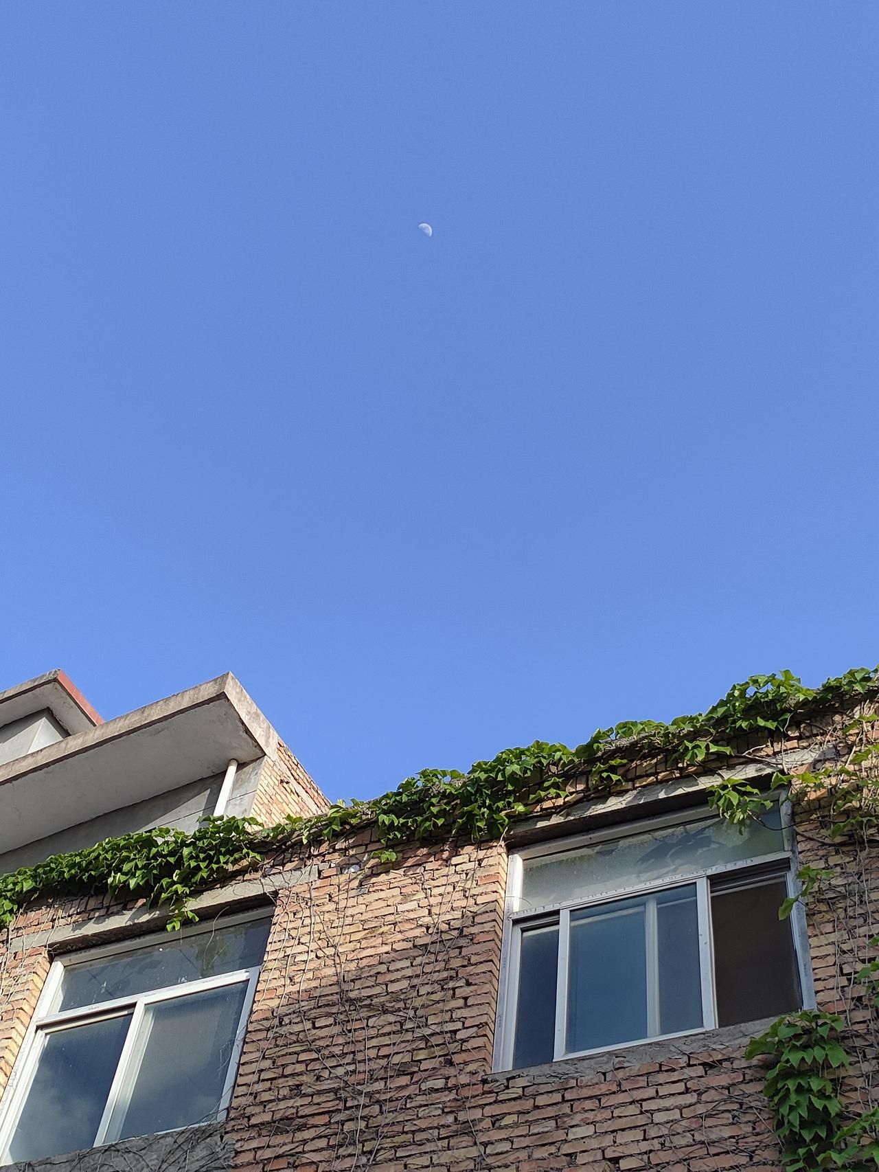 2. 老砖墙藏着半生烟火，蓝天下盛着满心自在。不追远方的热闹，只守眼前的安稳，三