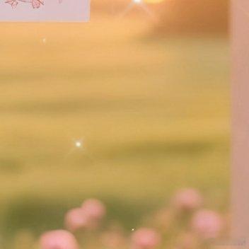 镜头里的光来自太阳，梦里的光来自心安，晚安。 