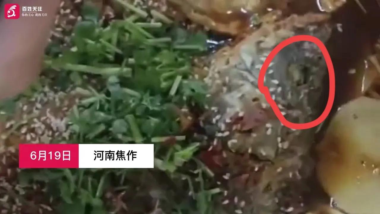 河南高校学生吃出带蛆鱼头，而且蛆还活着，仍在蠕动！

6月20日，据媒体报道，河