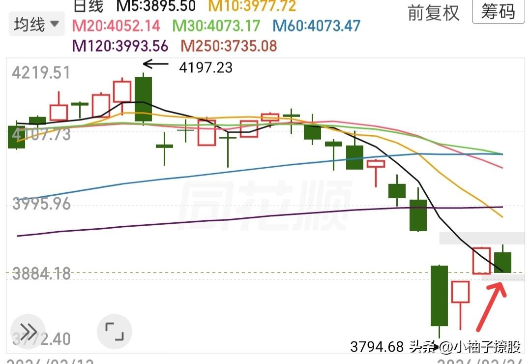 还没止跌，不要着急，再等一等再看！

今天好多朋友说，小柚子，都怪你一大早吃了蒜