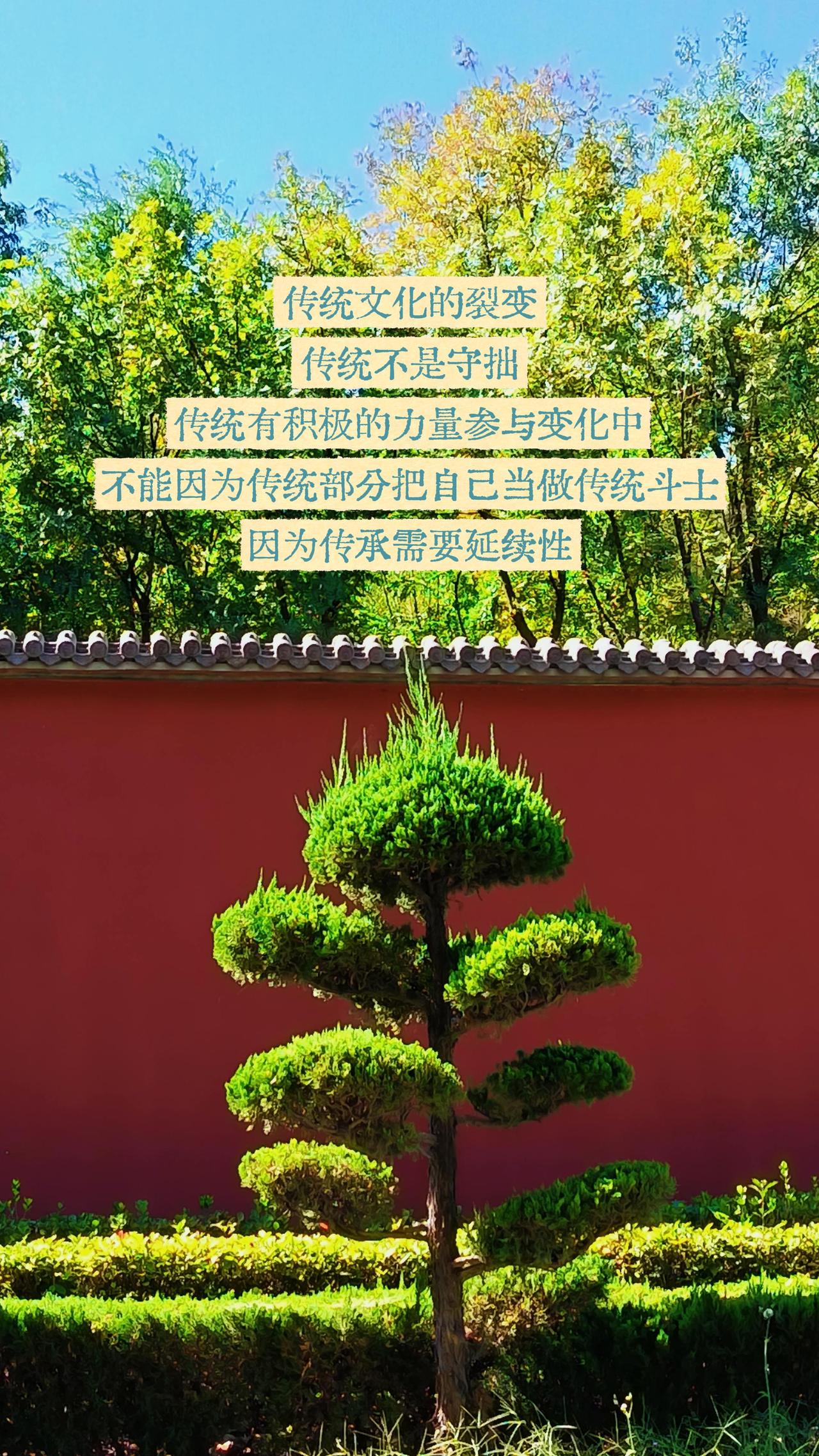 传统文化，传统手工艺，传统技术，不是让你复古而不去发展，传统的变化应该像个小女孩