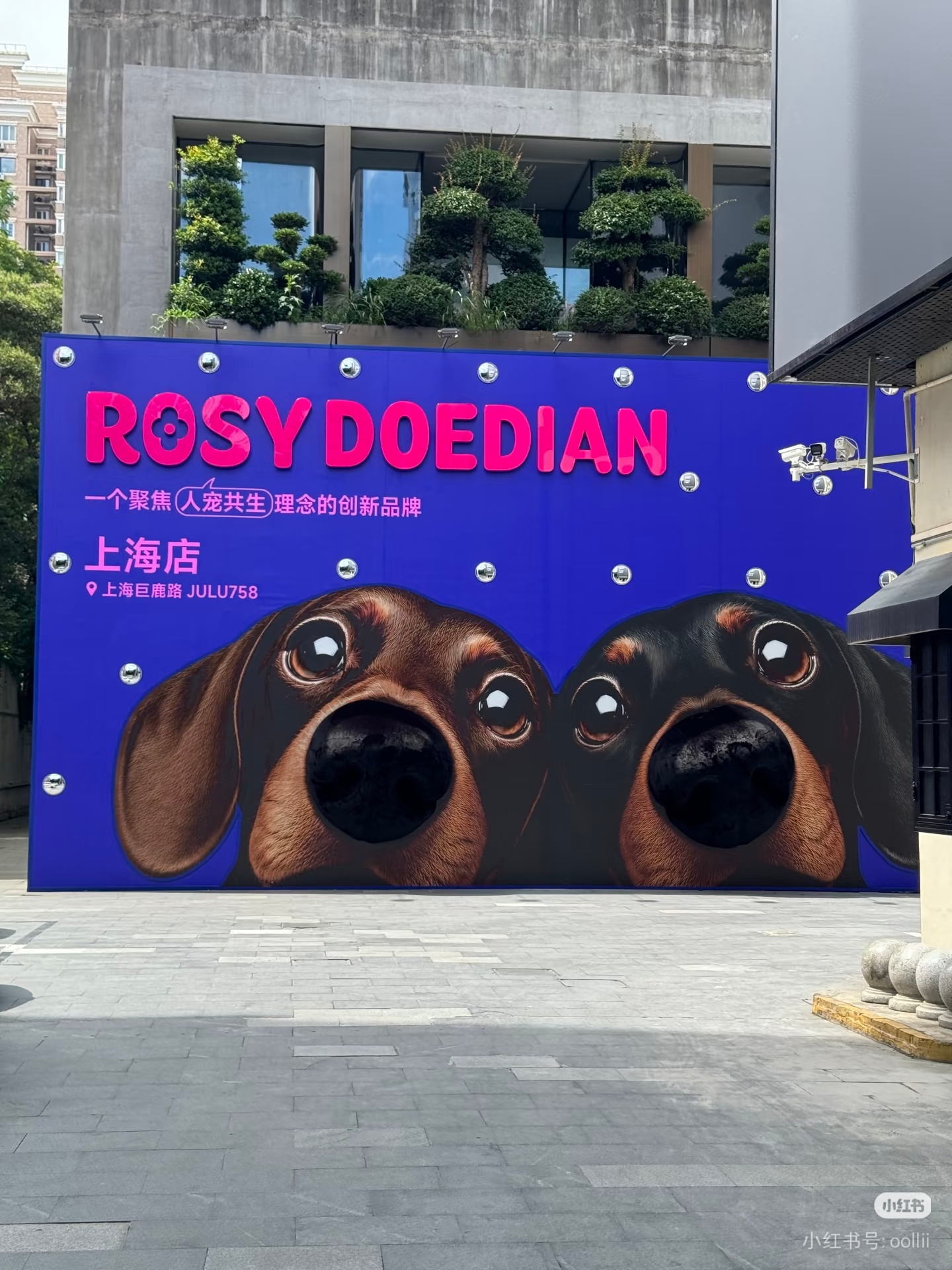 rdd做大做强！支持rdd把所有城市的分店都开起来！小县城也不要放过！不仅要rd