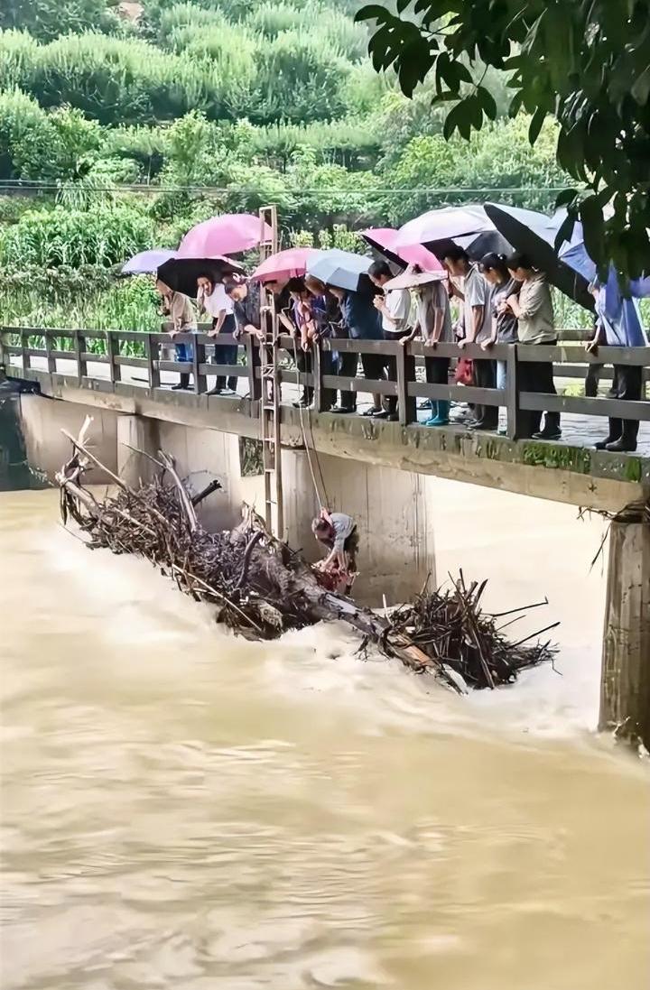 看得我心惊胆战
脑海里不禁浮现出一句话
虽说如今是和平年代，但是依旧有很多默默无