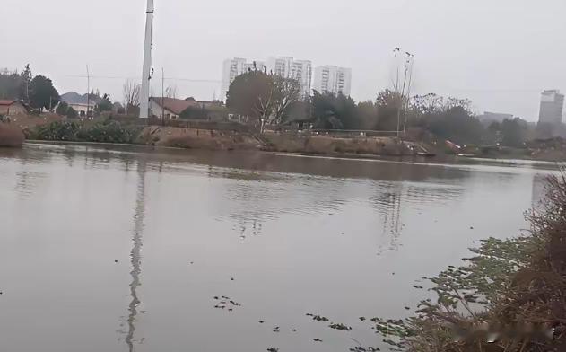 钓鱼最大的秘密，不在第一条，而在最后一条。
你收好所有装备，拉上钓包拉链。
但手