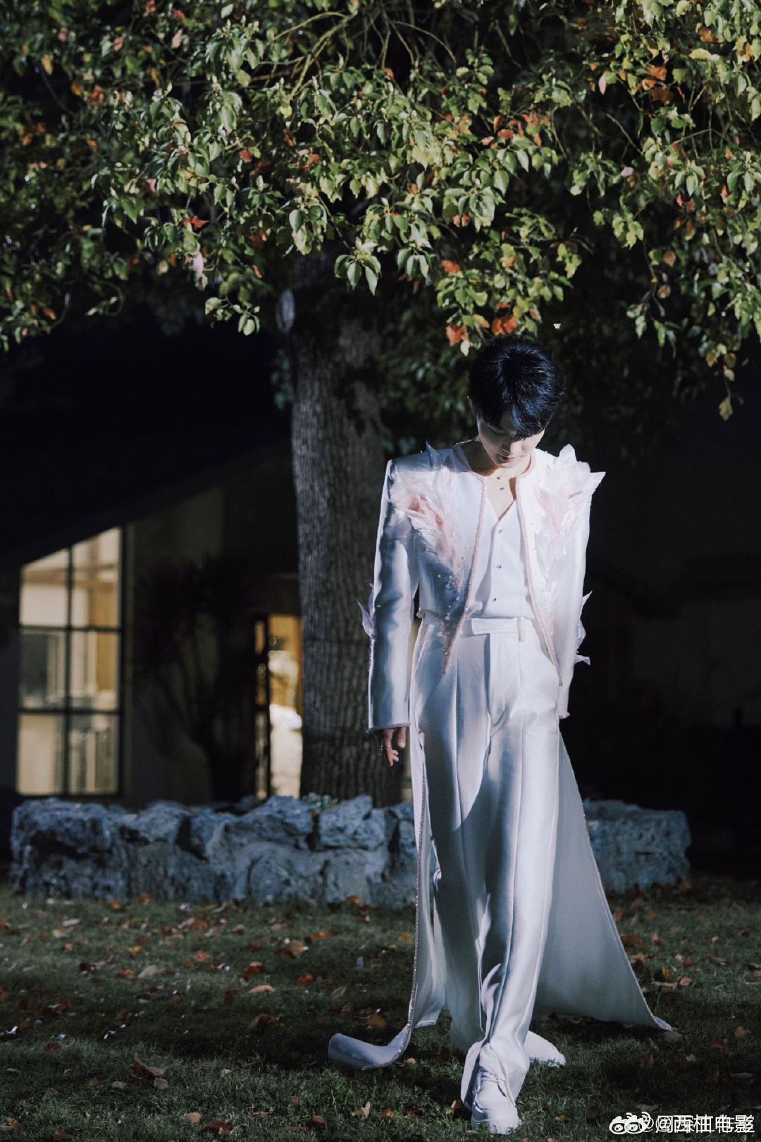 周深樱花树下站谁都好看樱花漫野的温柔景致里，周深眉眼含光笑意清甜，自带柔光的气质