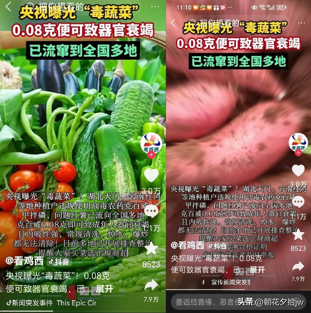 菜农自有菜农的理由！

“我们吃菜都是自己种不打药的…

卖的都是连猪都不吃的菜