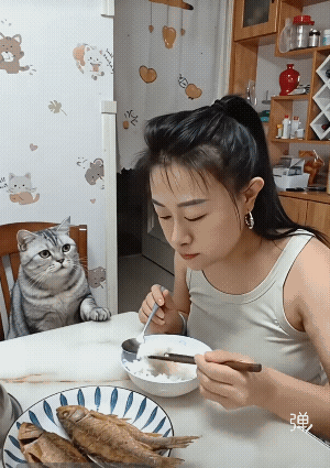 老虎不发威，拿它当病猫，我看了三遍。