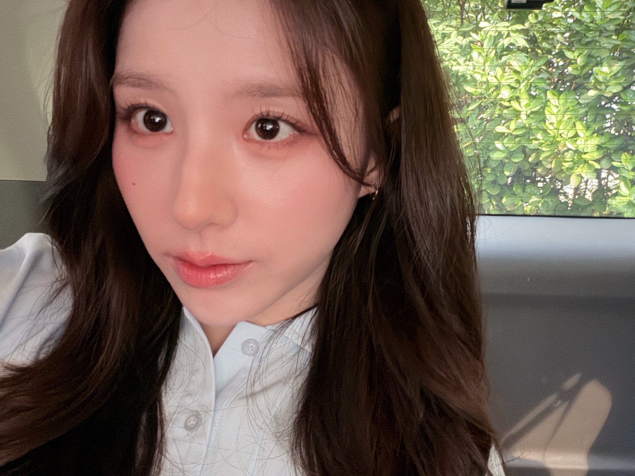 近期🫧artms田姬振