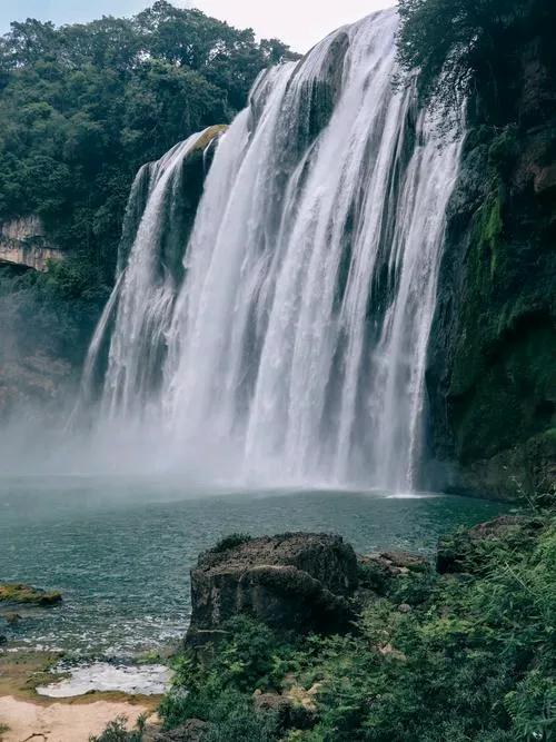 推开那扇吱呀作响的木门，你便跌入一个被水汽与绿意浸透的宇宙。

首先拥抱你的，是