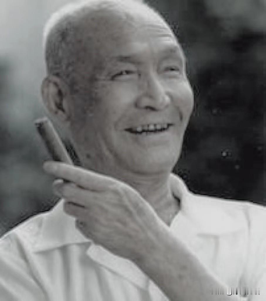你看电视剧《主角》了吗没有，我感觉现在演员都很肤浅，真正是演戏，没有以前演员那样