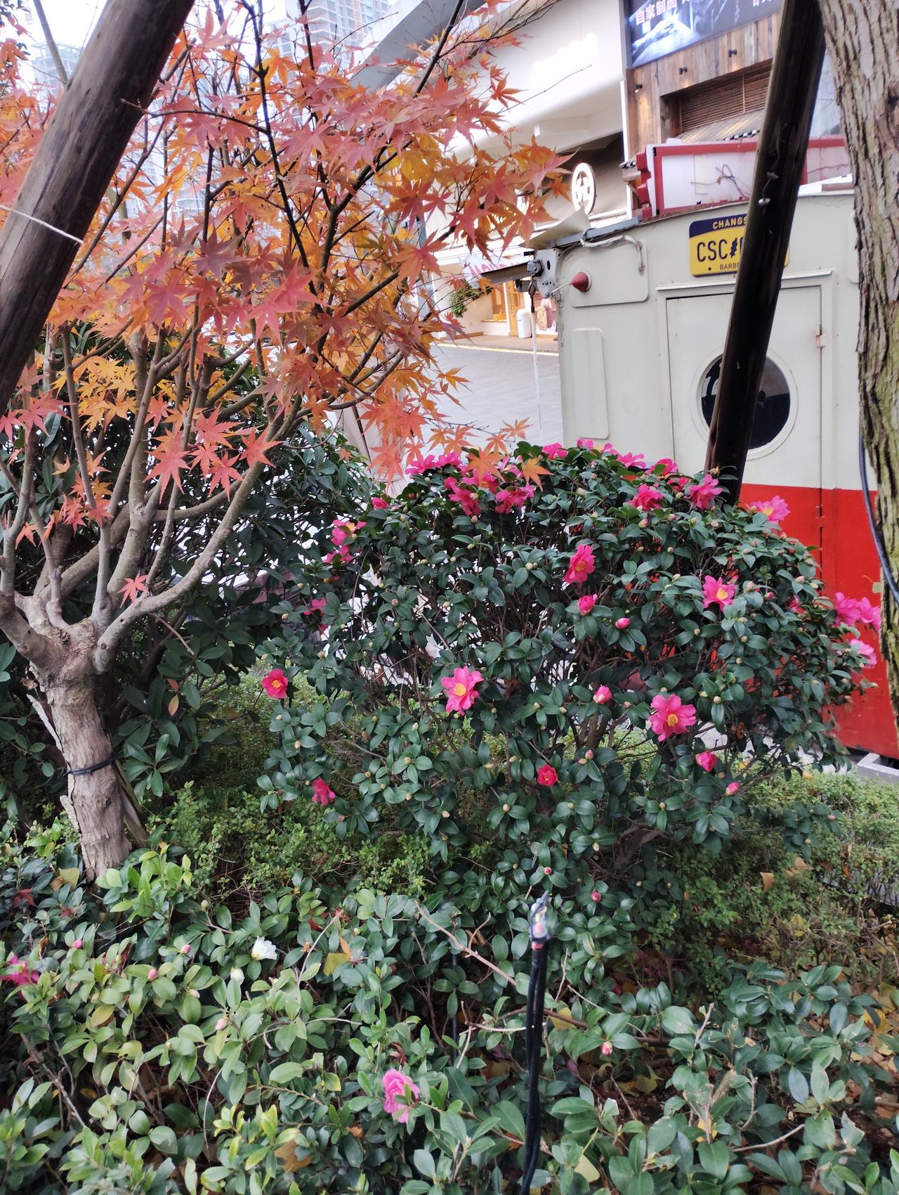 花钱和挣钱比起来就容易多了，到商店随便买买，一天的工资就没了。