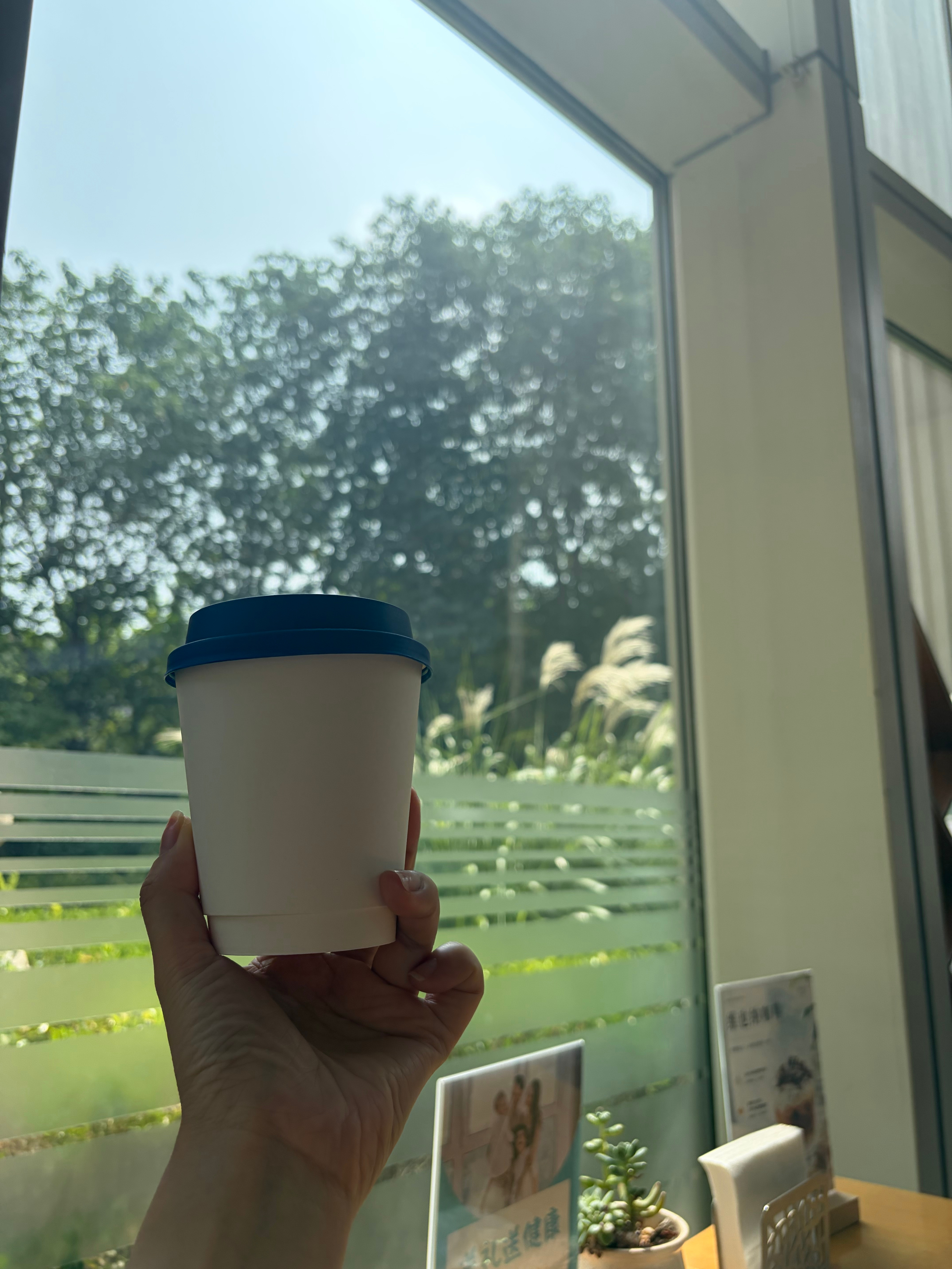 复查身体顺便喝杯茶看到阳光正好那今天也请加油哦q的乐活日记  ​​​