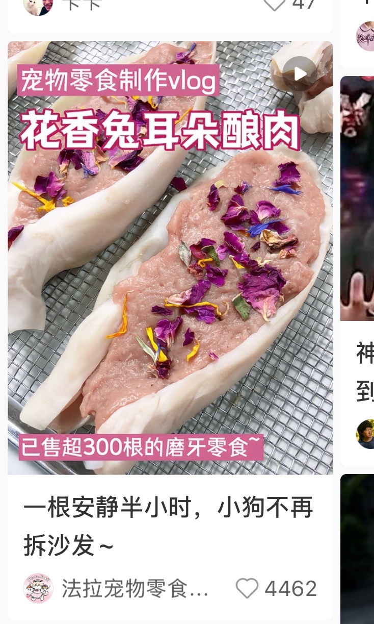 我笑死了，全都在问人能不能吃。 