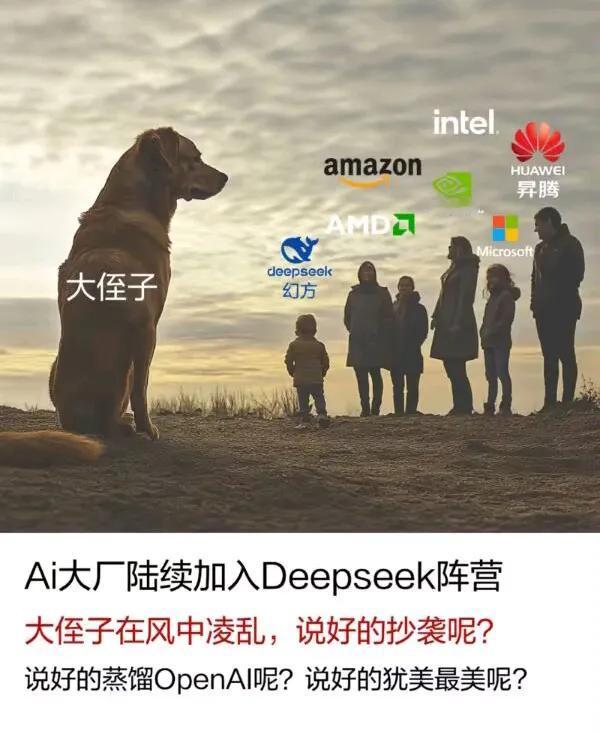 污蔑、抹黑、抄袭、蒸馏！[大笑]所有阴暗手段都使尽了，打不过，没有办法，只好加入