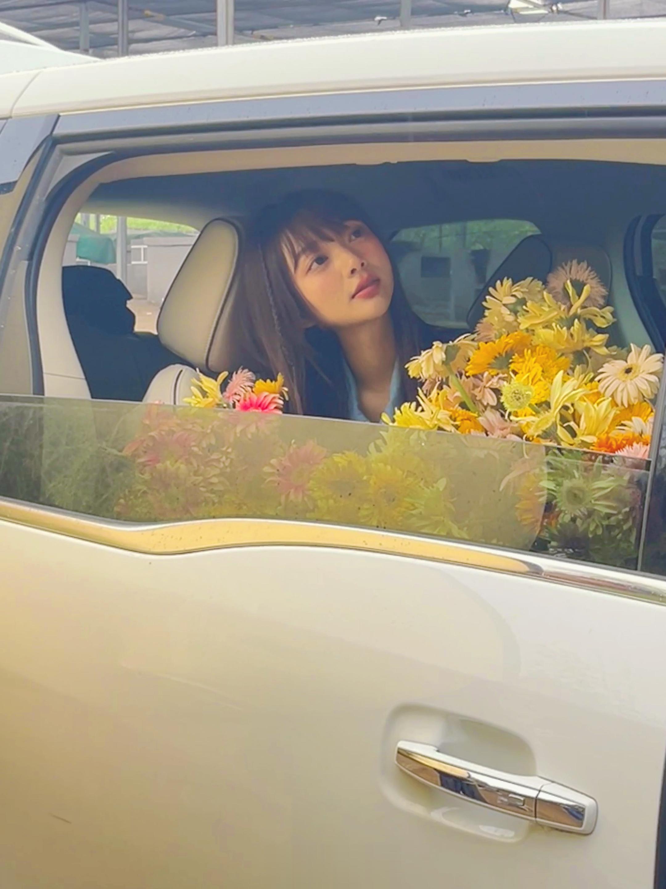 不想努力了  想去放羊  ​​​