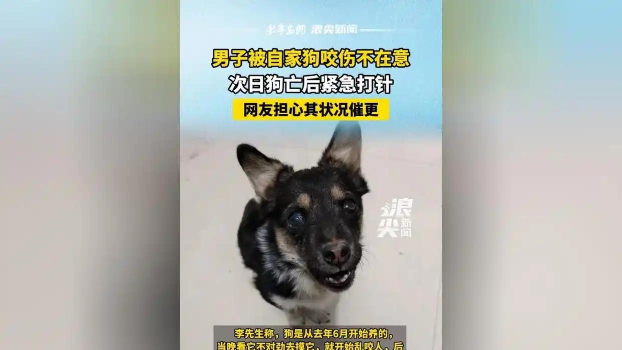 河南，一男子被自家狗子咬伤手指后没在意，结果第二天狗子突然身亡，吓得男子赶紧到医