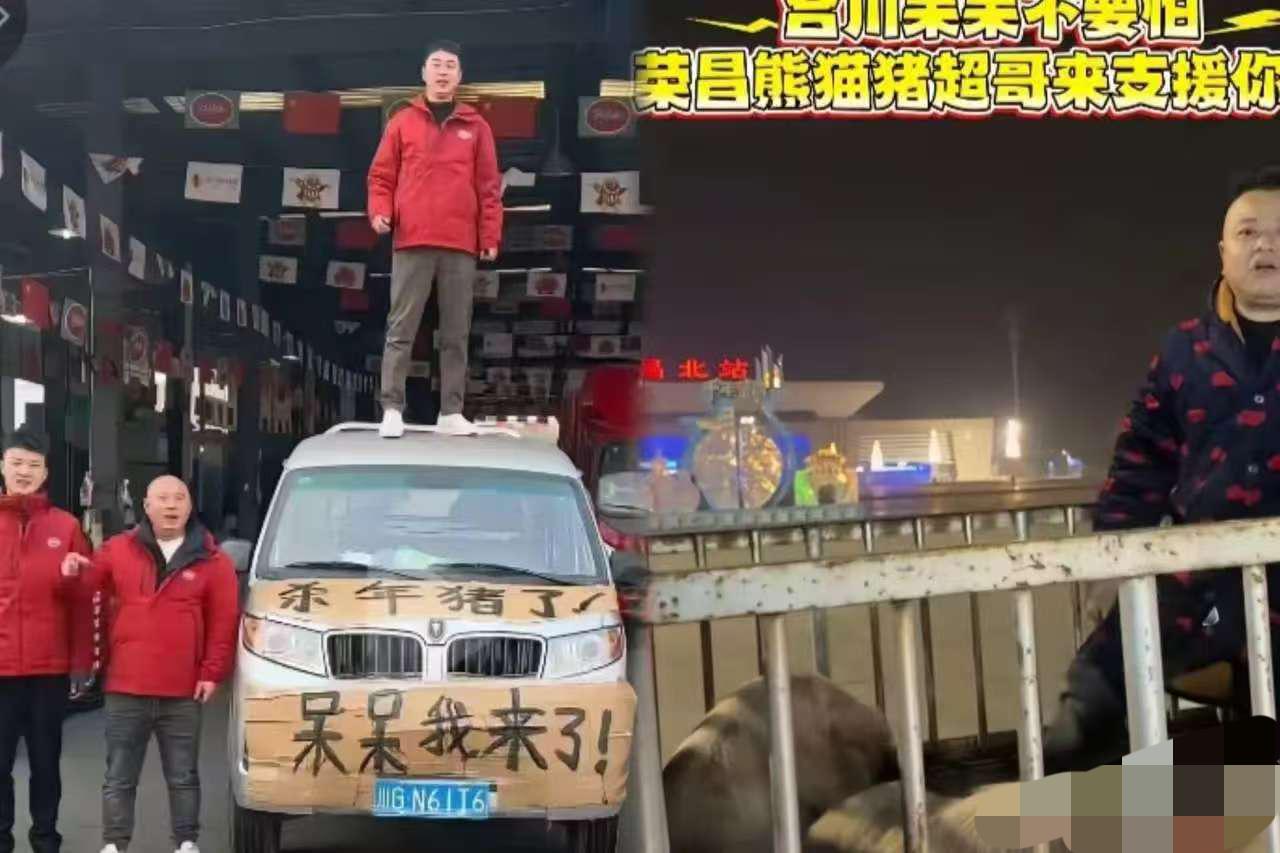 果然
呆呆家今晚收不了场的原因找到了
你看看这阵仗，前脚荣昌家富农科的猪刚送到，