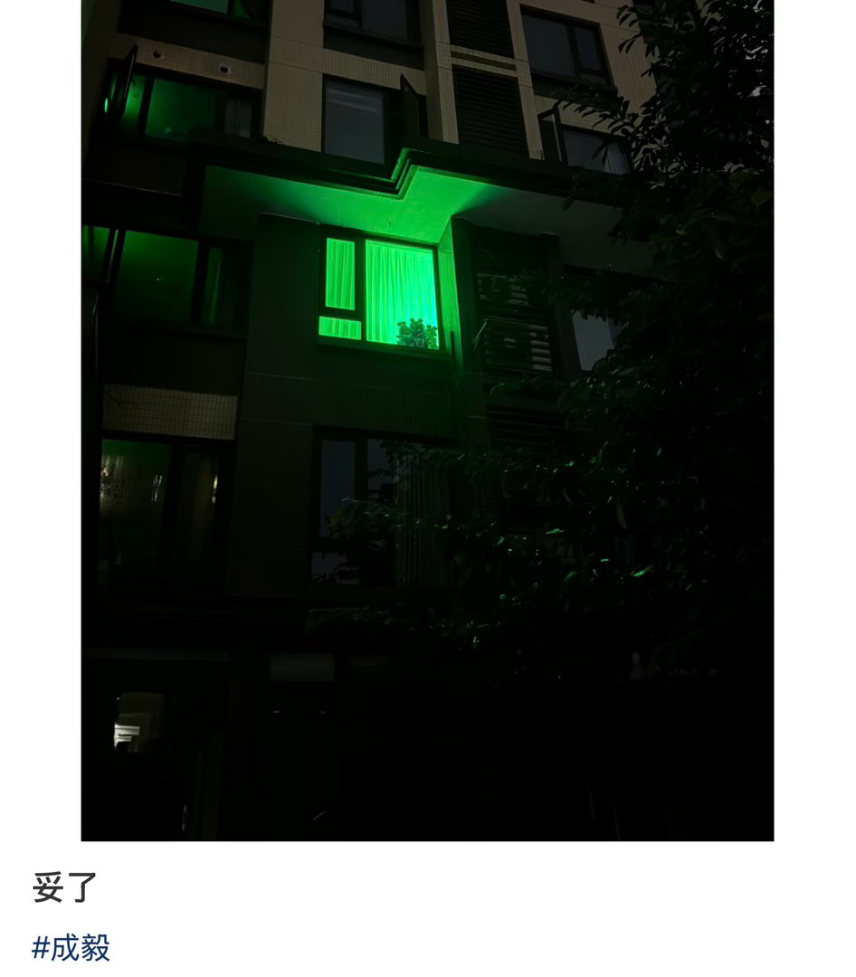 成毅   绿绿的灯牌看着就爽，外面看着更绿，8.8号绿海我们来啦成毅