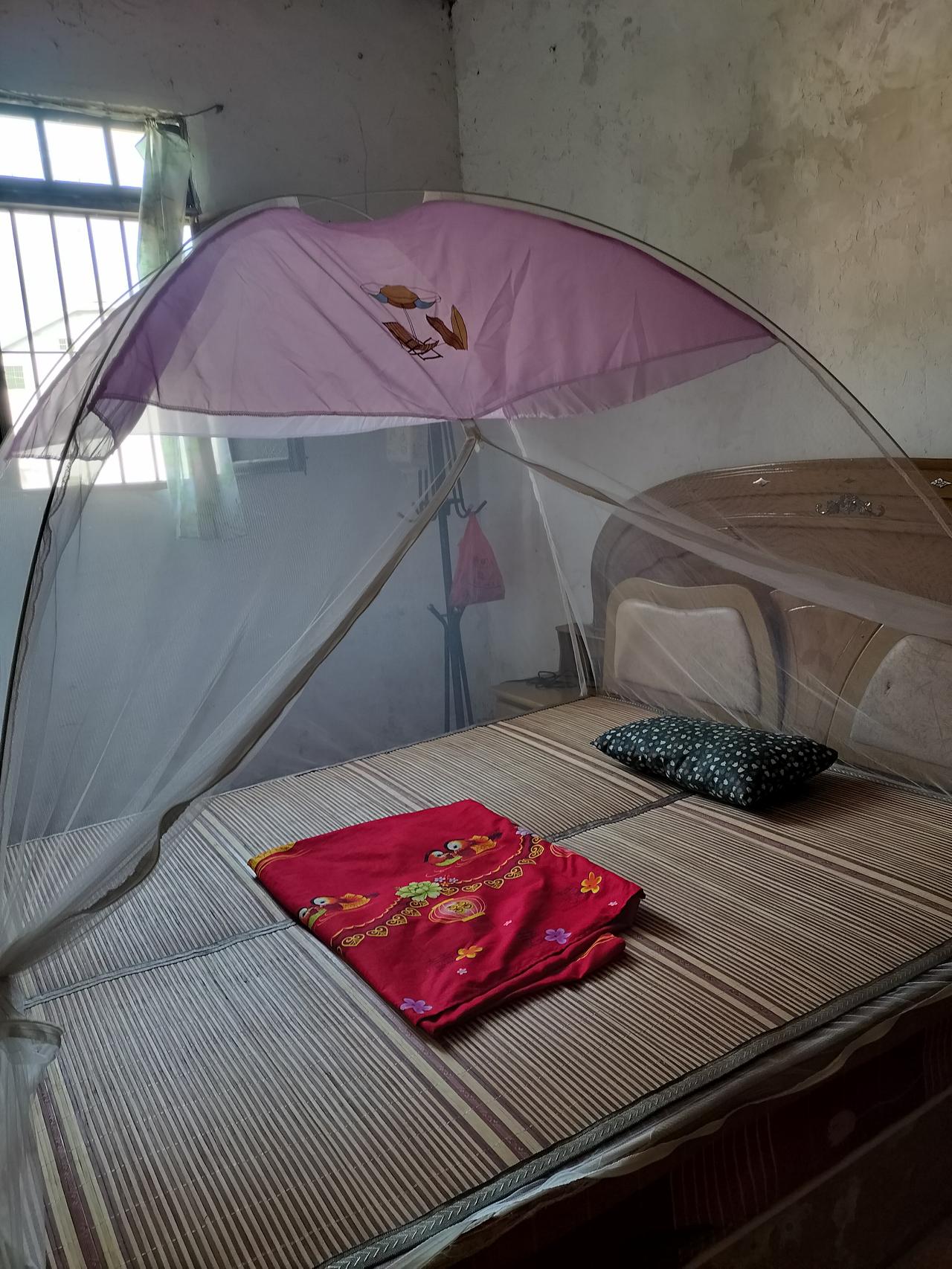 今天家里的床就挂蚊帐了，好看，我儿子干了一件让我对他刮目相看的事，他拿拖把拖地了