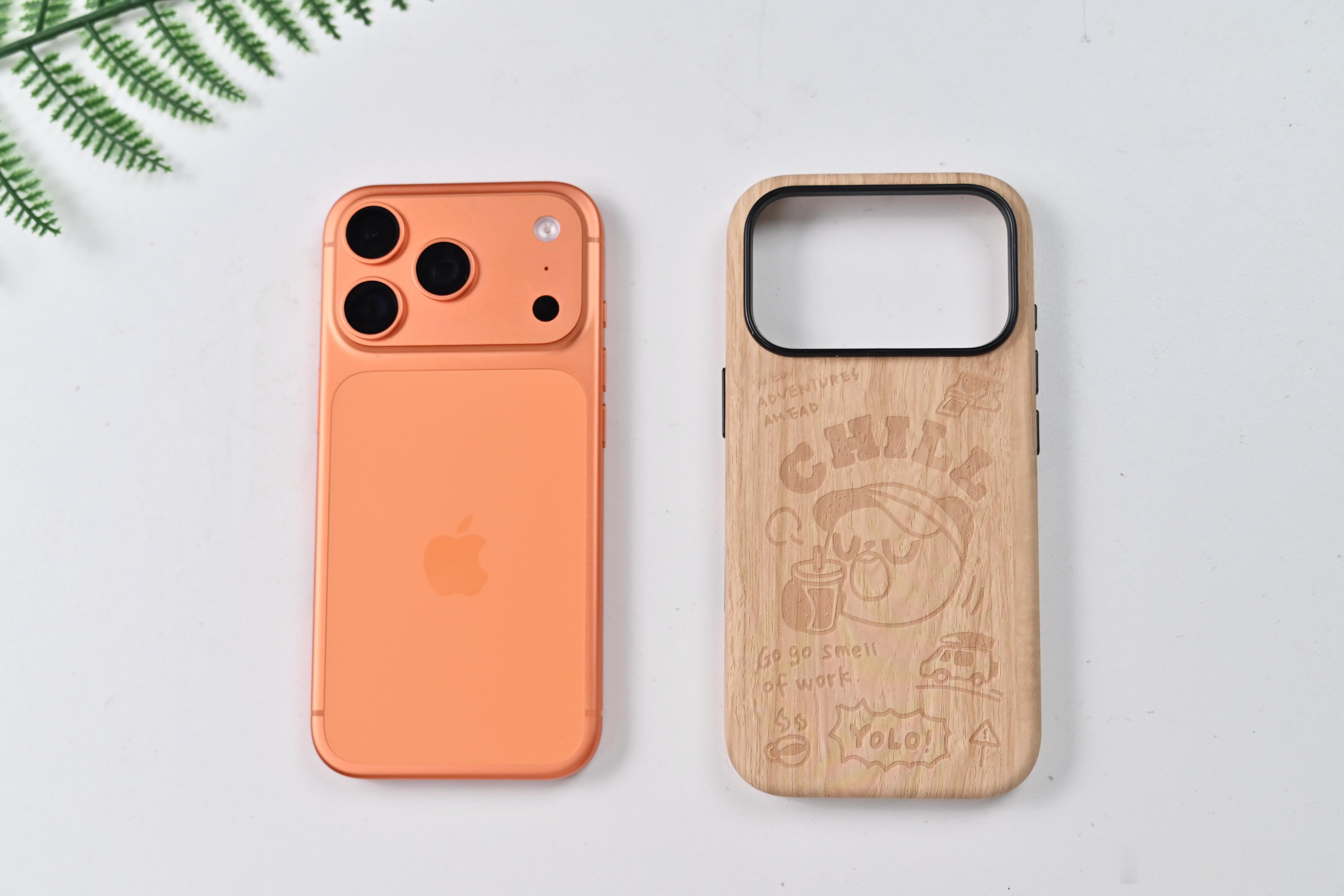 魅族PANDAER为iPhone17 Pro做的手机壳真不错，送给你们吧，点赞就