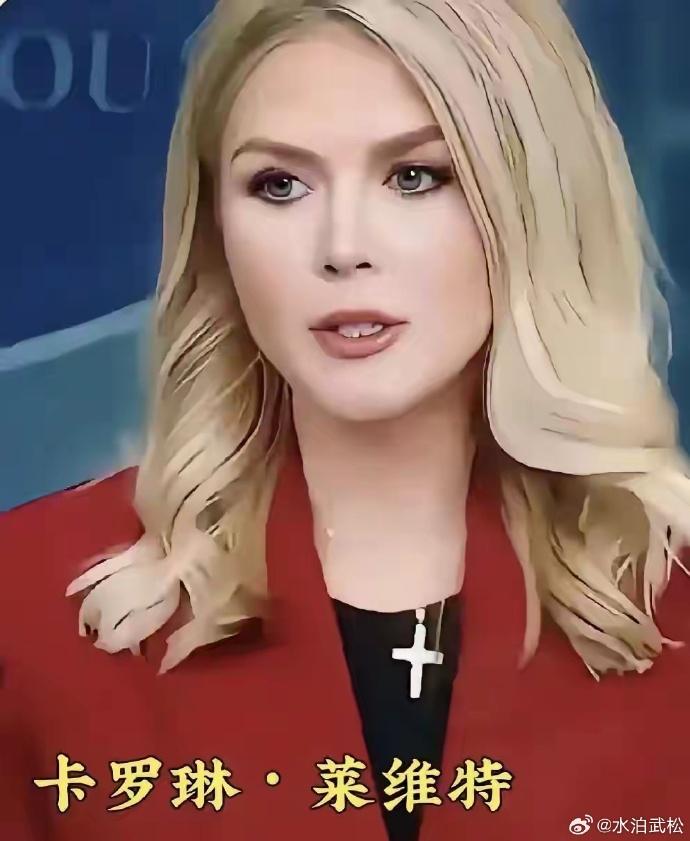 美智库：“让日本做好打响第一枪的准备”、“必要时先下手为强”

难怪白宫发言人卡