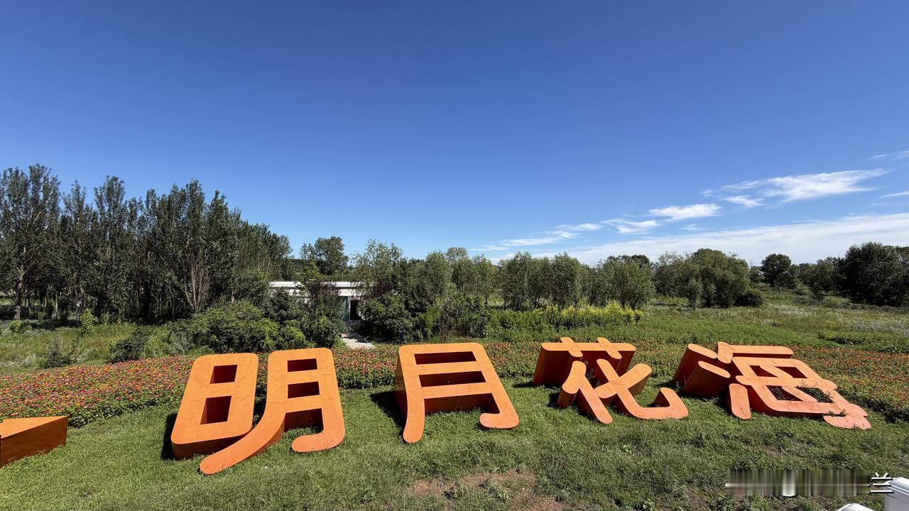 昨天去齐齐哈尔的明月岛游玩，结束后准备返回，才知道可以把车开到岛上，能省下往返的