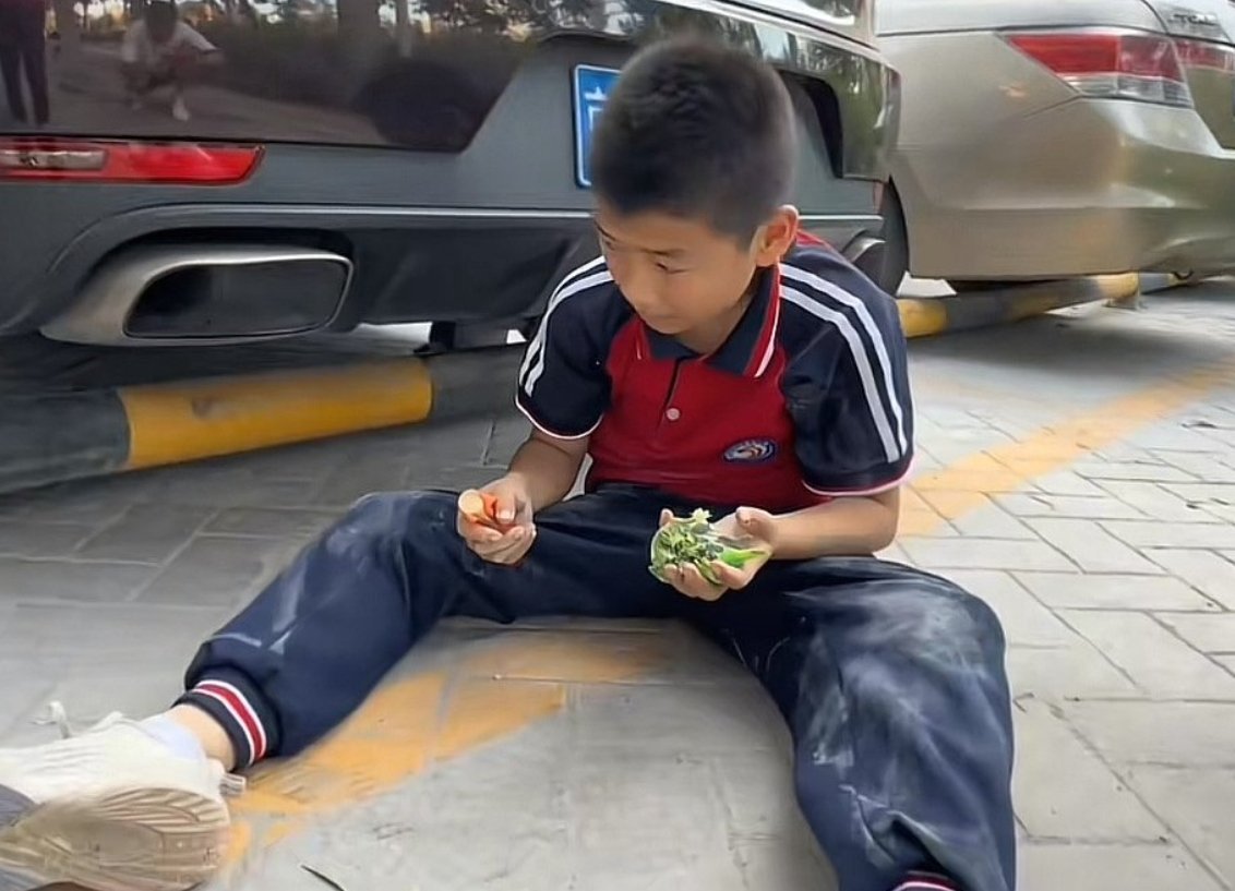 小孩哥右手火腿肠左手鹦鹉尸体一只手上是自己的善良，另一只手上是自己的懊悔 