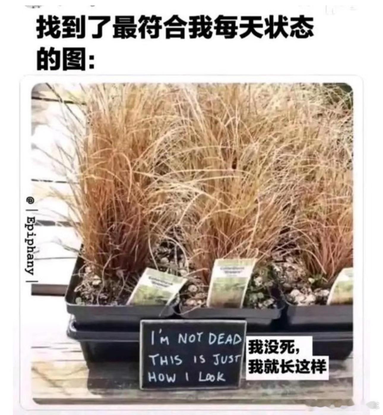 如图[微笑]梗图[超话]趣图[超话]meme ​​​