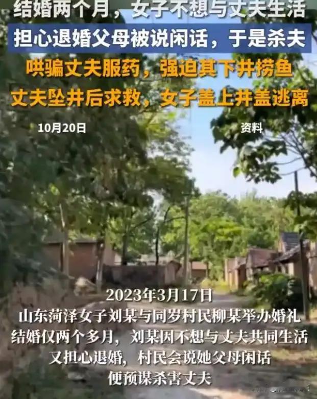 离婚就是了，至于害命吗？”这句话像是一把利刃，刺穿了许多人的心。山东菏泽，一段看