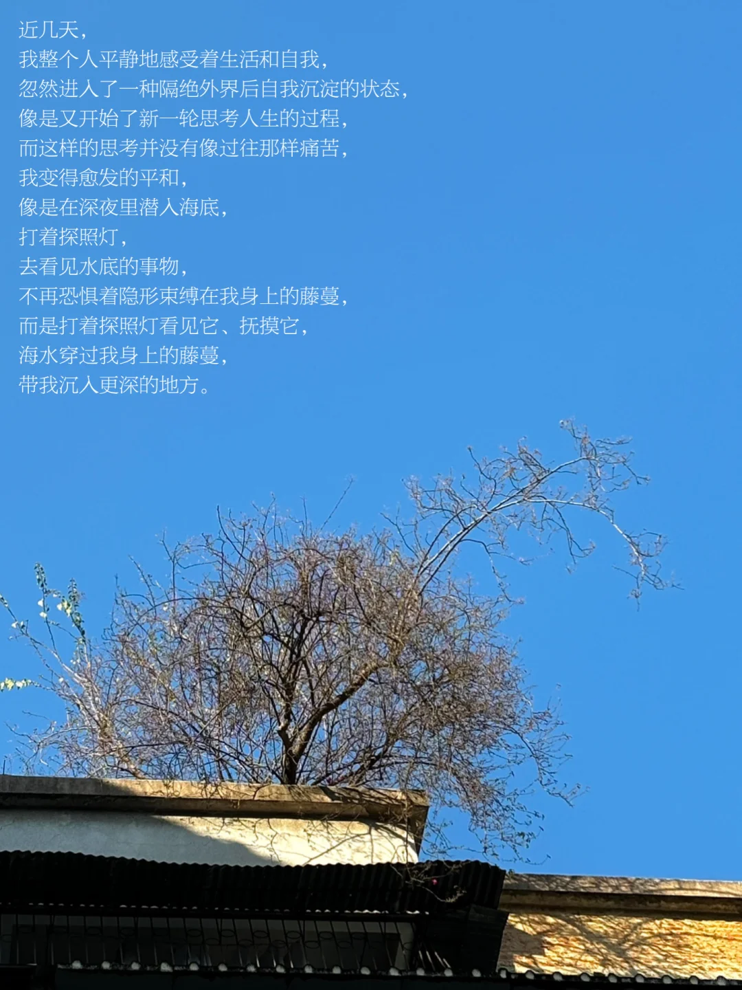 大城市的包容性给予了我内在的平静和自由。