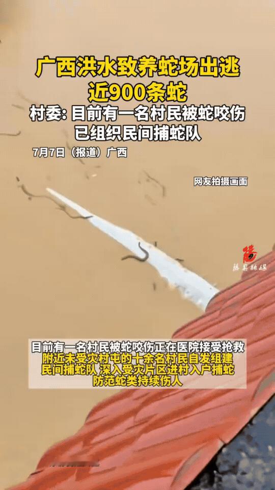 受台风“美莎克”强降雨、水库泄洪影响，广西南宁横州市云表镇邓圩村7月6日上午一处