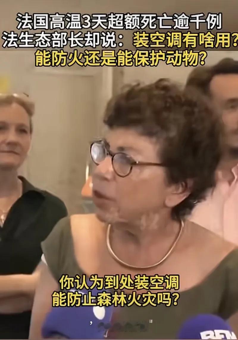 这是法国生态转型部长莫妮克·巴尔比接受媒体采访的新闻截图，背景是法国遭遇极端高温