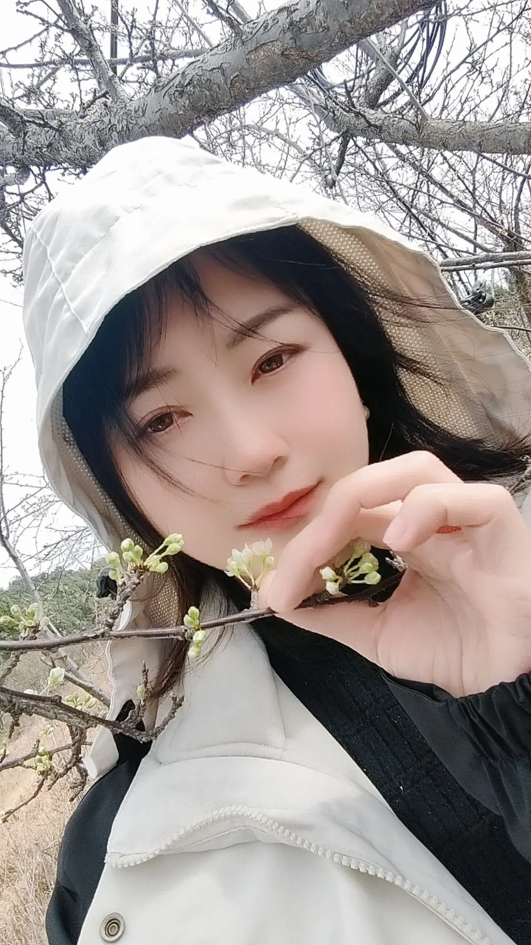 熟悉的地方，每年都会一个人来看花，遗憾的是花没有开，那次你的美丽，多么...