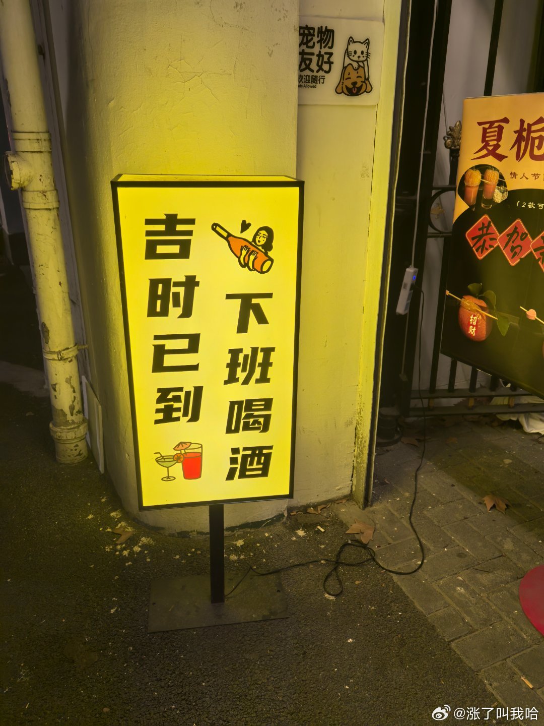 梧桐区小马路，多姿多彩乱花迷眼。等我资产负债表牢底坐穿了就来消费 